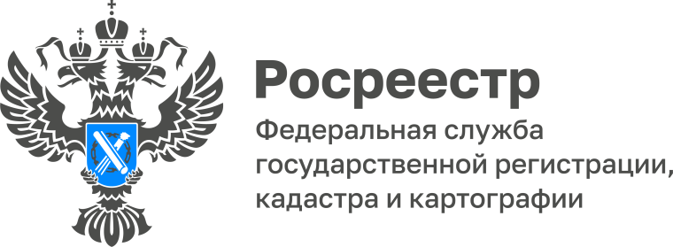 Курский Росреестр: экстерриториальный принцип в действии. Курский Росреестр: экстерриториальный принцип в действии.